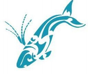 Next Dyer Island Marine Big 5 Tour: Saturday, 31 July 2021