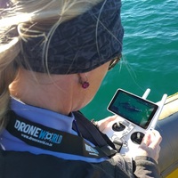 The Whale Unit - Xplorioâ„¢ Hermanus