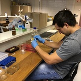 The Whale Unit - Xplorioâ„¢ Hermanus