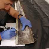 The Whale Unit - Xplorioâ„¢ Hermanus