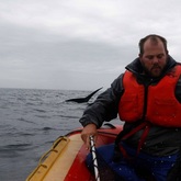 The Whale Unit - Xplorioâ„¢ Hermanus