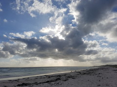 On the Beach: The Human Onslaught Continues