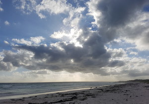 On the Beach: The Human Onslaught Continues