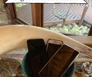 Digital Detox Retreat