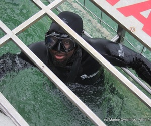 Daily Blog: 01 August 2021 | Shark Cage Diving in South Africa