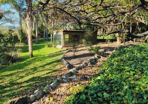 Outdoor Massage Room COMING SOON!