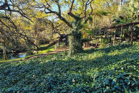 231349150_1998066567026983_2389261830605221997_n_1628058536