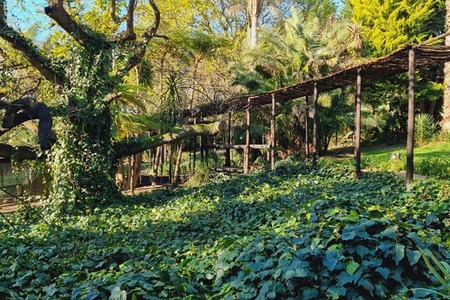 232425869_1998066493693657_8135708944998449868_n_1628058535