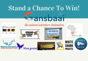 Stand A Chance To Win Some Awesome Prizes!