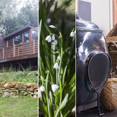 Collage - Bodhi Khaya Nature Retreat - Xplorioâ„¢ Gansbaai