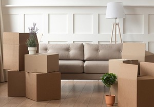 Hassle-Free Furniture Removal And Plot Clearing With HDK Inc.