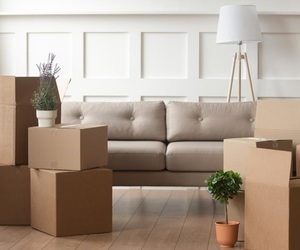 Hassle-Free Furniture Removal And Plot Clearing With HDK Inc.