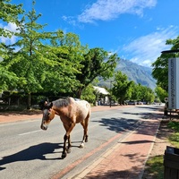 Greyton Tourism - Xplorioâ„¢ Greyton