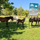 Country Living - Greyton Tourism - Xplorioâ„¢ Greyton