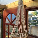 MacramÃ© - Overberg Cacti and Succulents - Xplorioâ„¢ Gansbaai