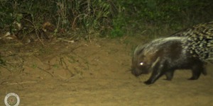 235493906_4266501226764286_406460475757639078_n_1629360674