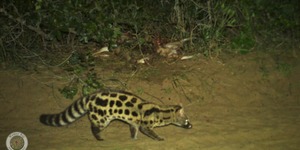 236046772_4266501480097594_6939527935756687445_n_1629360674