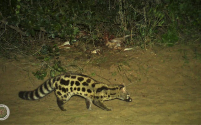 236046772_4266501480097594_6939527935756687445_n_1629360674