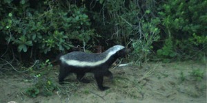 236206093_4266501360097606_7073789290998258539_n_1629360675