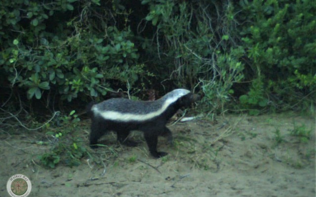 236206093_4266501360097606_7073789290998258539_n_1629360675