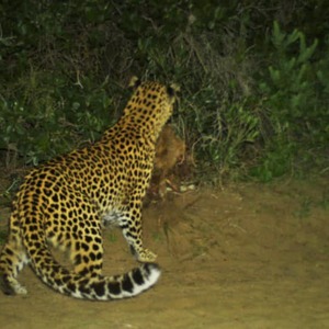 236410679_4266501216764287_5100499951702014039_n_1629360673