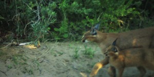 237377181_4266501343430941_1943105268821098141_n_1629360675