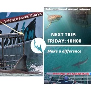 Next Marine Dynamics Shark Cage Diving Trip:Â Friday, 20 August 2021