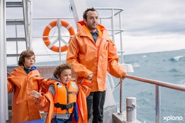 Next Dyer Island Marine Big 5 Tour:Â Friday, 20 August 2021