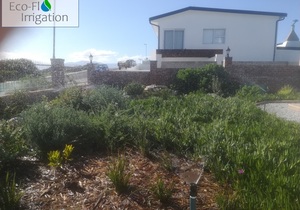Irrigation Project in Gansbaai