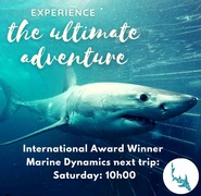 Next Marine Dynamics Shark Cage Diving Trip:Â Saturday, 21 August 2021