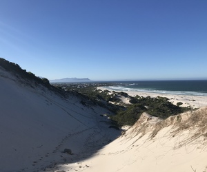 Surf Lessons in Betty's Bay and Pringle Bay