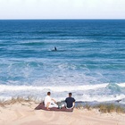Land-Based Whale Watching (Photo Credit: JaredinCpt) - De Hoop Collection - Xplorioâ„¢ Bredasdorp