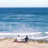 Land-Based Whale Watching (Photo Credit: JaredinCpt) - De Hoop Collection - Xplorioâ„¢ Bredasdorp