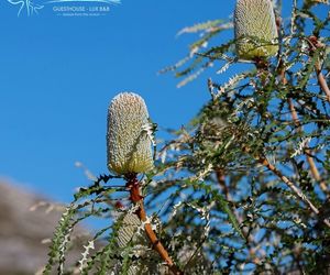 Explore The Many Activities