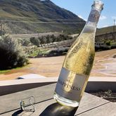 Raka Happiness Sparkling Sauvignon blanc Brut - Stanford Wine Route - Xplorioâ„¢ Stanford