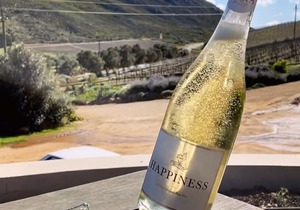 Raka Happiness Sparkling Sauvignon Blanc Brut