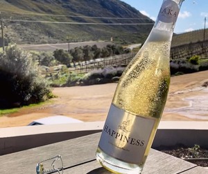 Raka Happiness Sparkling Sauvignon Blanc Brut