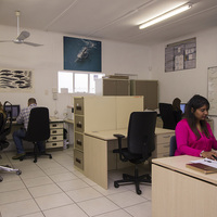Research Projects - The Whale Unit - Xplorioâ„¢ Hermanus