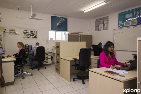 hermanus_ngo_the_whale_unit_research_projects_1629890848