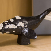 Southern Wright Whales - The Whale Unit - Xplorioâ„¢ Hermanus