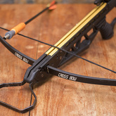 Crossbow For Marine Sampling - The Whale Unit - Xplorioâ„¢ Hermanus