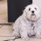 Office Mascot - PostNet Sandbaai - Xplorioâ„¢ Hermanus