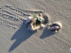 On the Beach: From Far and Wide