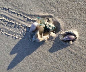 On the Beach: From Far and Wide