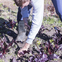 Teaching Children To Be Skilled - The Butterfly Centre - Xplorioâ„¢ Stanford