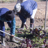 Skills Training - The Butterfly Centre - Xplorioâ„¢ Stanford
