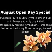 Tomorrow is our August Open Day!Â 