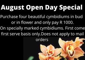 Tomorrow is our August Open Day!Â 