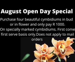 Tomorrow is our August Open Day!Â 