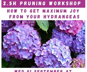 1 September 2021:Â 2.5 Hour Pruning Workshop